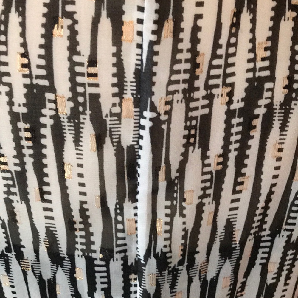 Express Dress - Picture 3 of 3